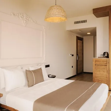 Hotel Voger Ayasaranda *