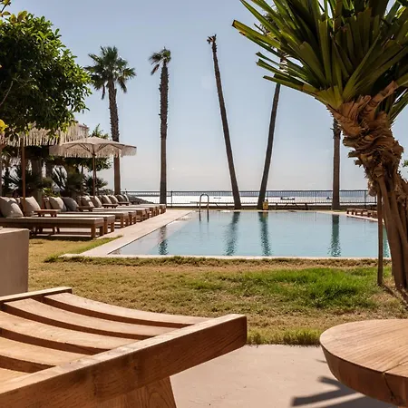 Ulmo Collection - Ayasaranda *