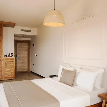 Ulmo Collection - Ayasaranda Cesme